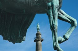 Wellington looking down on Victoria Wallpaper