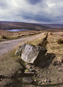 Marsden Moor Estate