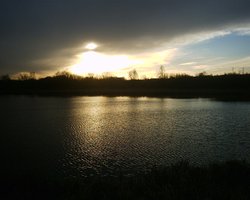 Irthlingborough Lake at Christmas Wallpaper