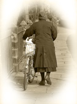 City Wall Cycle Lady