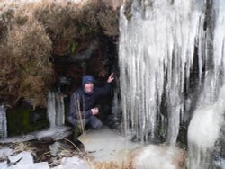 Yet more icicles Wallpaper