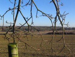 'Across the fields' Wallpaper