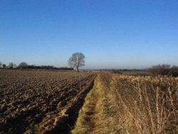 Ploughed field and cut hedgerow Wallpaper