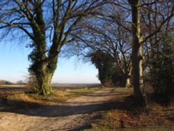 5 lanes meet Wallpaper