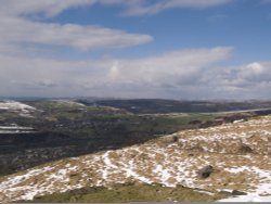 A picture of Greenfield Wallpaper