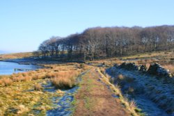 Dean Clough Wallpaper