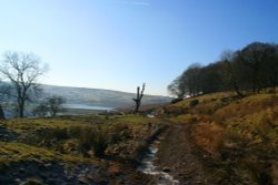 Dean Clough Wallpaper