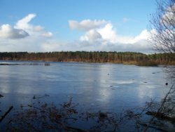 Delamere Forest Lake