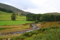 Trough of Bowland Wallpaper
