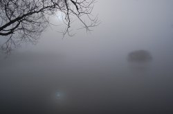 Misty lake Wallpaper