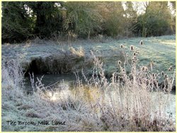 The Brook, East Hendred