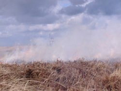 Beating the Flames Wallpaper