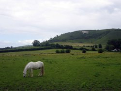 White Horse