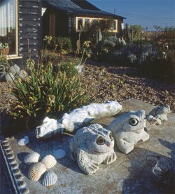 Jarman's Garden, Dungeness, Kent
