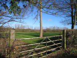 Wheatley, Oxford Wallpaper