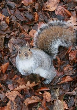 What you looking at?