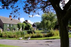 Childrey Pond Wallpaper