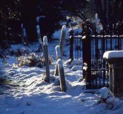 Snow in St Margaret's Churchyard, Rainham, Kent