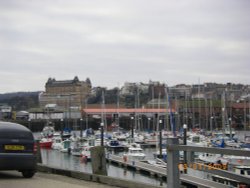 The Harbour Wallpaper