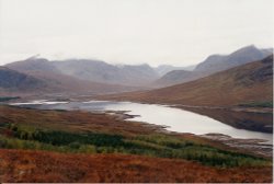 West Highland Scene Wallpaper