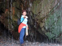 Clovelly Bay Wallpaper