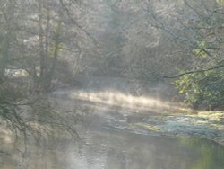 River Creedy
