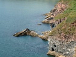 Standing Room Only! Wallpaper