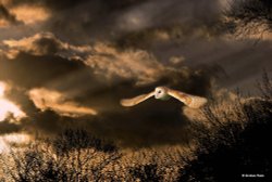 Shillingstone in Dorset Wallpaper