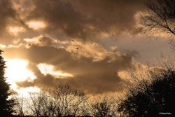 Shillingstone in Dorset Wallpaper