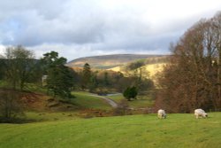 Knowlemere Manor Grounds Wallpaper