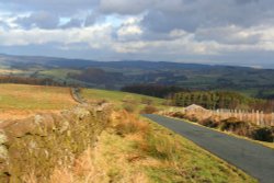 Bowland Forest Wallpaper