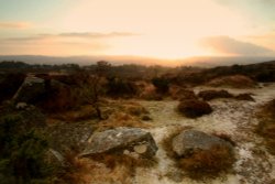 Early morning sun over Haytor