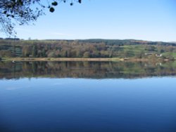 Esthwaite Water Nr Hawkshead Wallpaper