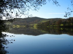 Esthwaite Water Nr Hawkshead Wallpaper
