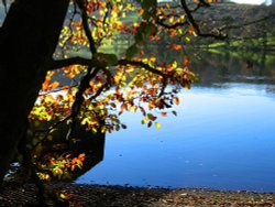 Esthwaite Water Nr Hawkshead Wallpaper