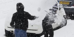 Snow Fight