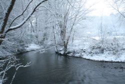 Bradley Park, Newton Abbot Wallpaper