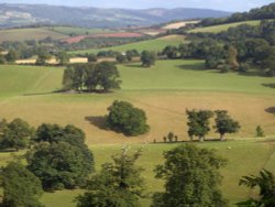 View towards the Quantocks Wallpaper