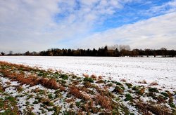 Tadley, Hampshire Wallpaper