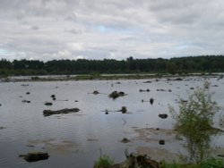 Delamere