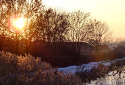 Sunset over Rushes on Gamston Canal Wallpaper