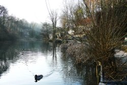 Winter morning Wallpaper