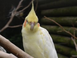 Walton Hall Pet Zoo