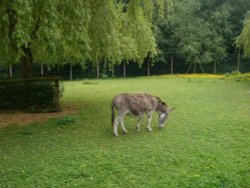 Walton Hall Pet Zoo