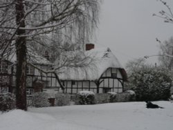 St. Aidans Cottage and White Cottage
