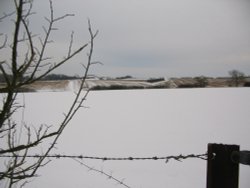 Winter 4.2.2009 Wallpaper