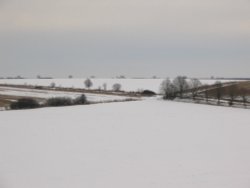 Winter 4.2.2009 Wallpaper