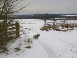 Winter 4.2.2009 Wallpaper