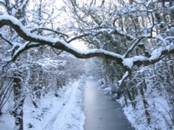 Winter 3.2.2009 Basingstoke Canal, Up Nately Wallpaper