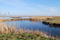 Cley Marshes Wallpaper